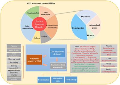 A review of probiotics in the treatment of autism spectrum disorders: Perspectives from the gut–brain axis